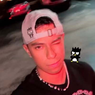 windenburgX's profile picture. lisez one piece