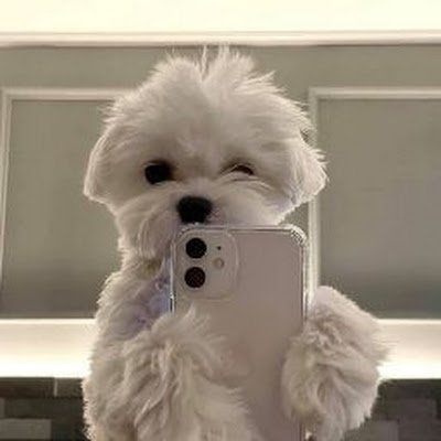 PiyKha99651's profile picture. 