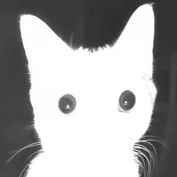 TheMightyCocoa's profile picture. Still dazed