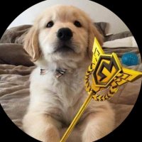 Chaz (@gtschazfv) 's Twitter Profile