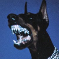 DingozDvrr (@dingozdvrr) 's Twitter Profile