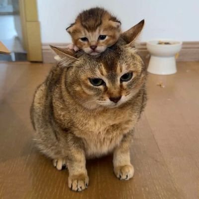 remoconja777's profile picture. semsele