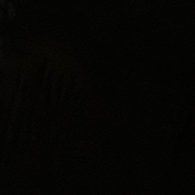 gronkielon's profile picture. 