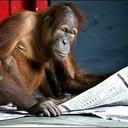 colin blyth - @ColinMeOut - Twitter