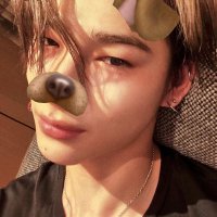 cachorra kamikaze (@trembalinhadvu) 's Twitter Profile