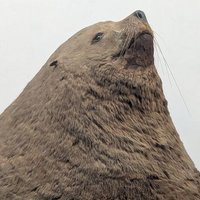Rockets Redglare (@3dprintsrockets) 's Twitter Profile