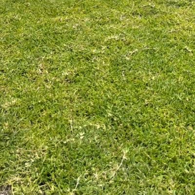 HolySpirit1909's profile picture. 