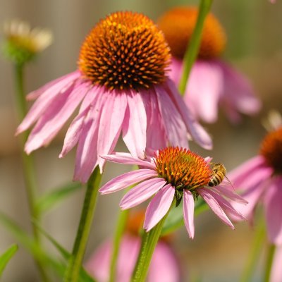 carab881's profile picture. 浜中俊騎手のＪＲＡ全１０場重賞制覇（残すは新潟・福島）を見届けたい！／石橋脩騎手の猛追が好き／荒ぶる魂／２７期卒📣／がんばれ馬券と電子シャッターに依存／３連複／馬券は自己責任／アイコンは福島のエキナシア