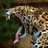 aguaronca's profile image
