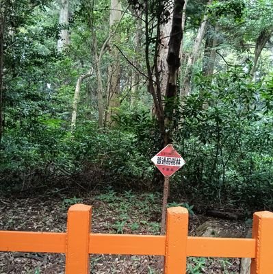 bochix2_denna's profile picture. 現物国内株、音楽、映画、アート。
2023年夏から株式投資を始めました。ユークス、モンラボで爆損したので他銘柄で取り返し中。