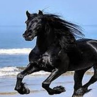 Mamad👑👑 (@asbkhasteh) 's Twitter Profile