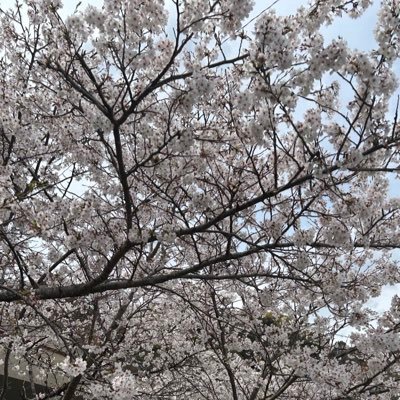 rinさんのプロフィール画像