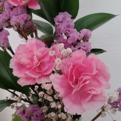 happymari619430's profile picture. 家庭連合一世、パステルアートインストラクター、秋田の温泉大好き、香川県出身、12月24日生まれ