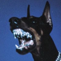 DropHunter.Eth (@drophuntereth) 's Twitter Profile