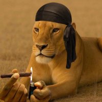 🎲🎲🎲 (@fendifact) 's Twitter Profile