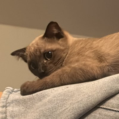 MMtxxbyn's profile picture. 