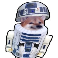 Fella2D2 (@fellr2d2) 's Twitter Profile