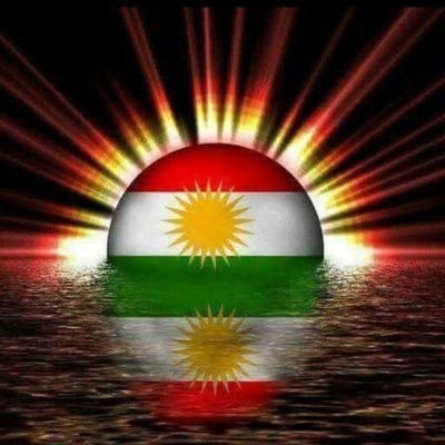 QBrhty's profile picture. كنت كالزهور عطري فواح يتهادى من يد إلى يد بي الأحباب ، غدر الزمان فصرت گورگ بين الجبال أعوي مع الذئاب