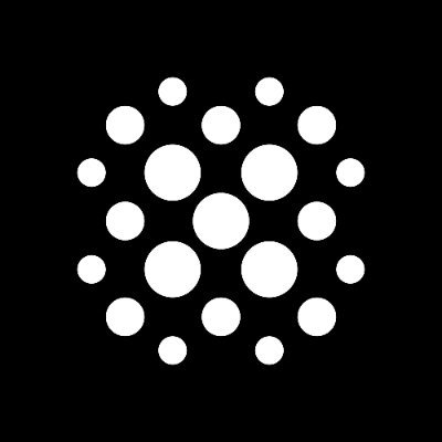 Risk Labs Profile