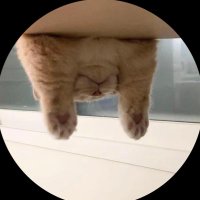 小松(足控dd (@xiaosongyuyu) 's Twitter Profile