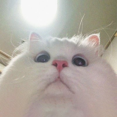 Rogan64755777's profile picture. 