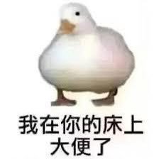 金阿丸🐙さんのプロフィール画像