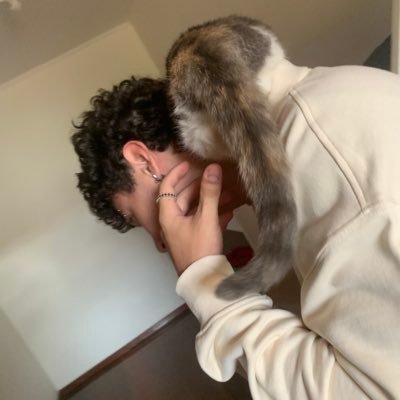 viniciiusreiss's profile picture. (ele/dele)