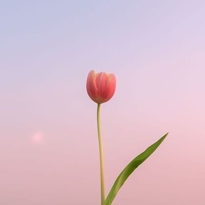 إجعلني ياربّ مِمن يقال عنها : في غيابها رعاها ﷲ ورحم من رباها مرت ولا ضرت أحداً يوماً .