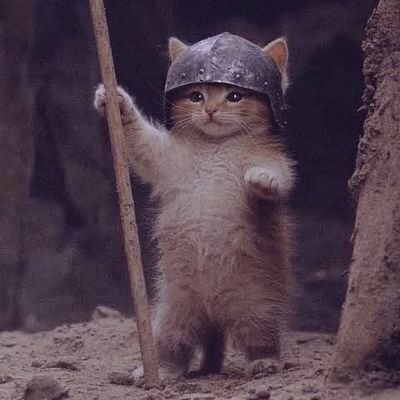 Ryuu_hielo's profile picture. Aunque digas 1+1=5, tienes razón, diviértete