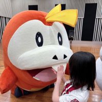 あいりーん🌱 (@irenetwt1) 's Twitter Profile