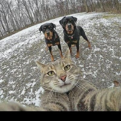 EmmanuelEmmline's profile picture. IT Support Technician 💻 || Blockchain || Critical Mind || Learning Digital Marketing & E-commerce with Google  Career Professional Certificate.