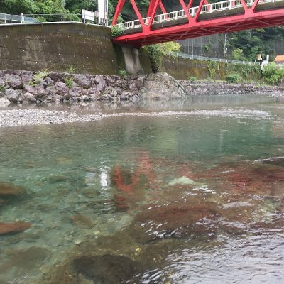 鉄ヲタです。表定速度にこだわる所謂「速度鉄」です。
市町村合併反対派です。
高専卒・工学部編入&院卒⇒社会ドロップアウトの底辺紐手童貞です。
もうすぐ40歳。仕事辞めたい。