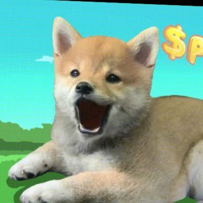 POPPUP ππ€ͺπ’πππ§π€ͺ Profile