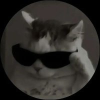Curious Cat (@catthatscurious) 's Twitter Profile