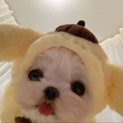 YooEnMo's profile picture. °NJMSJMDCT° @JYPETWICE #TWICE #트와이스 IZ*ONE #아이즈원 Aespa #에스파
NamtanFilm, MilkLove, EmiBonnie, LingOrm, EngLot, and my all time favorite LMSY ❤️