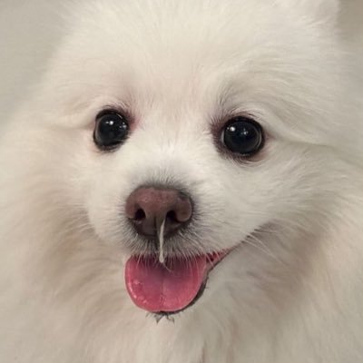 ˗ˏˋพาแลนโด้พี🎀✨!˚ ༘ Profile