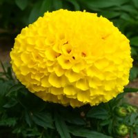 もちここ｜毎日18時 読書記録📙 (@mochi_mochicoco) 's Twitter Profile Photo