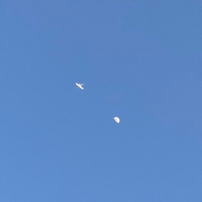 su_zume28's profile picture. 