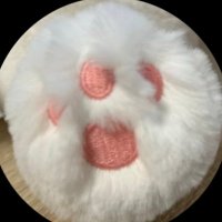 NaA🐈⬛🤍🌈next→ワンダラ (@na1024tiny) 's Twitter Profile Photo NaA🐈⬛🤍🌈next→ワンダラ (@na1024tiny) 's Twitter Profile Photo