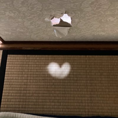 NFTP0627's profile picture. 仮想通貨、NFT、投資などについての有益情報を発信|育児ブログで挫折→仮想通貨ブログへシフト|平凡会社員→結婚を機に仮想通貨やブログを始める→仮想通貨マスター講座という神講座に出会う|事務系サラリーマン|6児のパパ|仮想通貨ブロガー|CNP購入予定