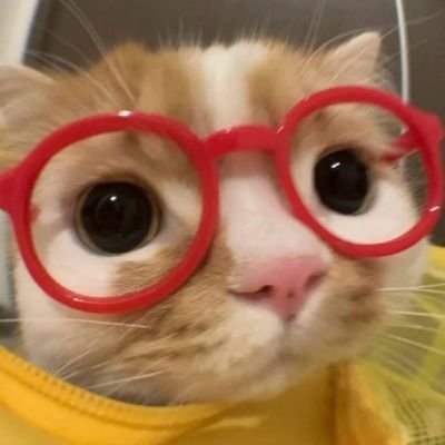 paulacampu99's profile picture. ig: Paula.campu
📌Murcia 
♏