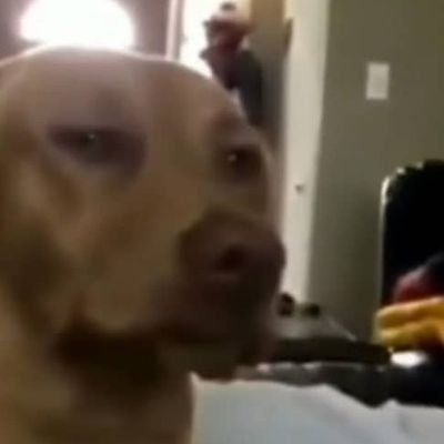 angel3416678's profile picture. many steps to the future