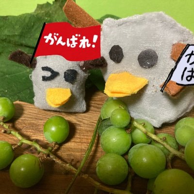 ミロ　「ロミン」さんのプロフィール画像