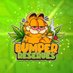 Bumper Reserves (@bumper_reserves) Twitter profile photo Bumper Reserves (@bumper_reserves) Twitter profile photo