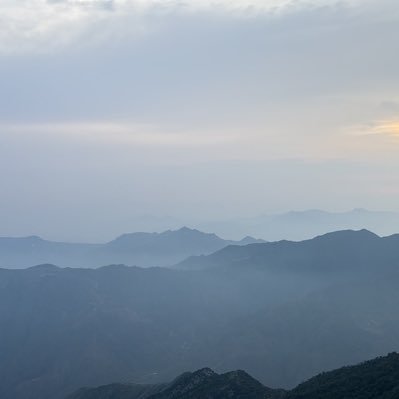 Maybe_Thug's profile picture. 