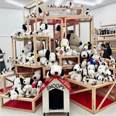 ciel__sourire's profile picture. 薬剤師 Lv.7@水戸 楽しいことゆるぼ