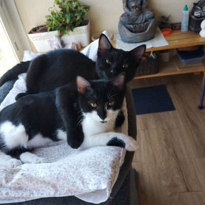 martagm45's profile picture. 