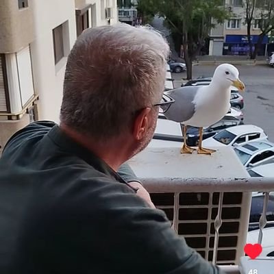 BİR AVUÇ SEVGİ HER DERDE DEVADIR... Yörük kızıyla evli mutlu çocuklu... Terazi _ Ekim..........
VATANSEVER
G.Mustafa Kemal Sevdalısı...
