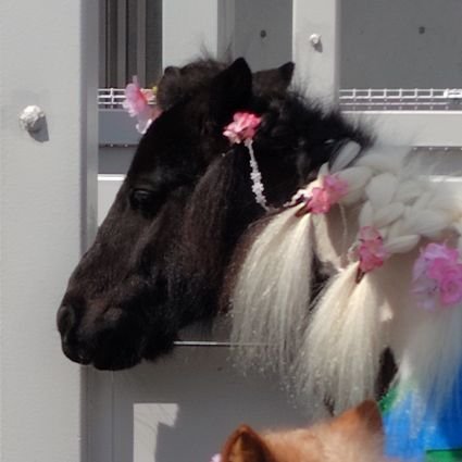 T&B🐰❤🐯好きでシュテルンビルト移住に憧れる新人です/TBバディ💓、お馬さん🐴好き/遥か昔に成人済の腐女子/お声掛けする勇気がないため無言フォローどうぞお許し下さい/X🔰です