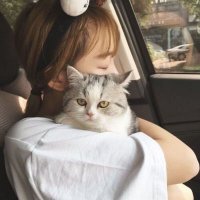 Riley (@q7uar3i2qox62n) 's Twitter Profile